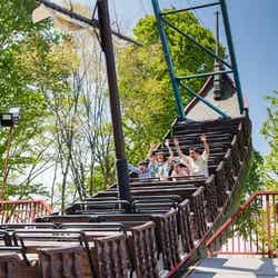 東京サマーランド(提供画像)