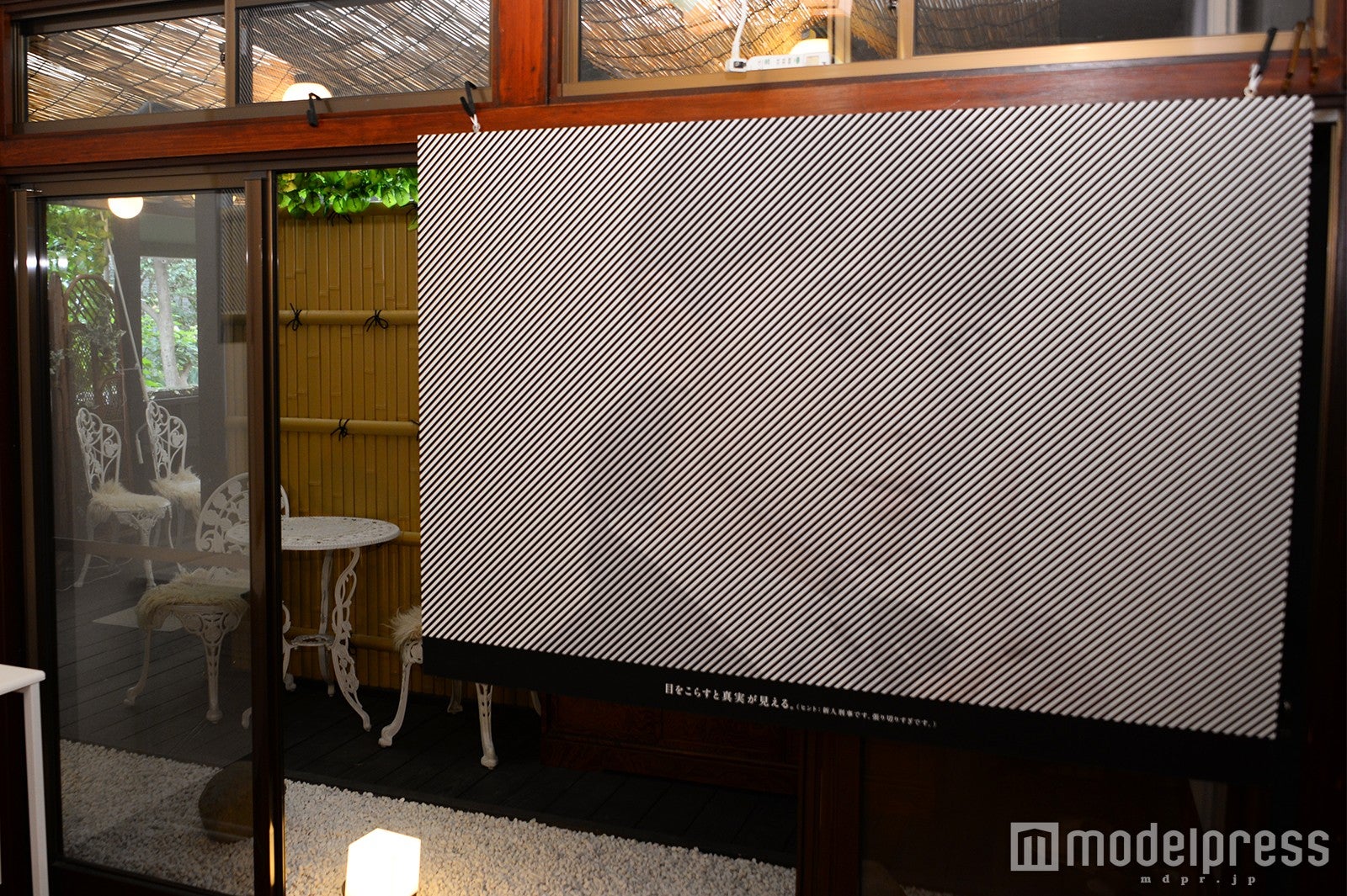 目の錯覚で見えたり見えなかったりする“錯覚ポスター”（C）モデルプレス