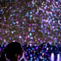 バブルミネーション/提供画像