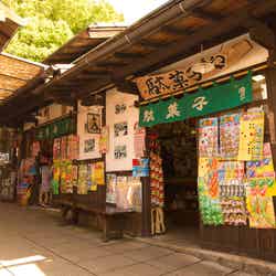 みろくの里・いつか来た道/画像提供:みろくの里