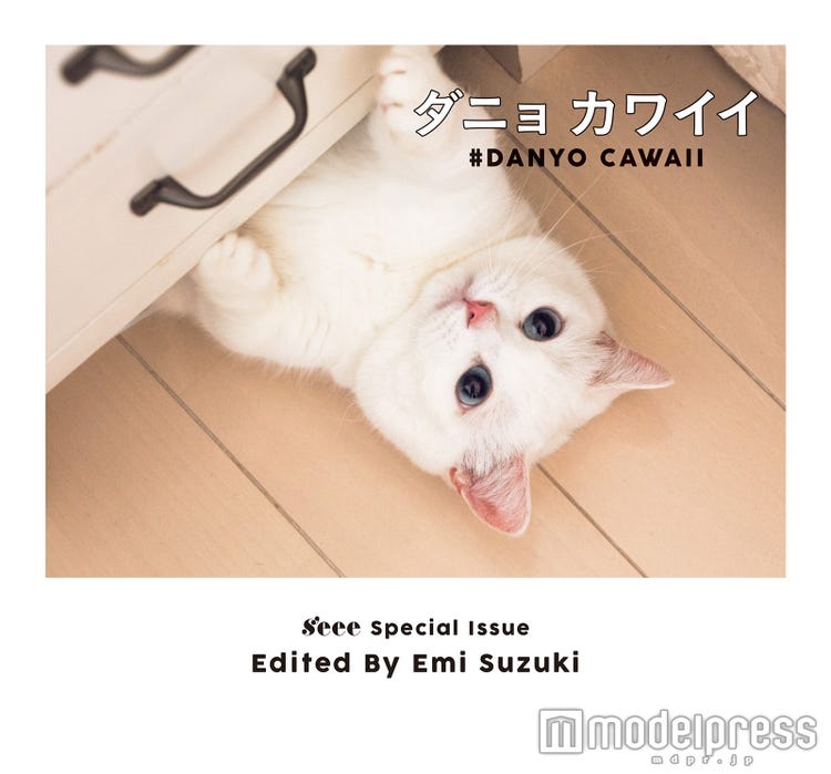 鈴木えみの真っ白猫 ダニョ が可愛すぎて身もだえ 専用インスタにラブコール殺到 モデルプレス