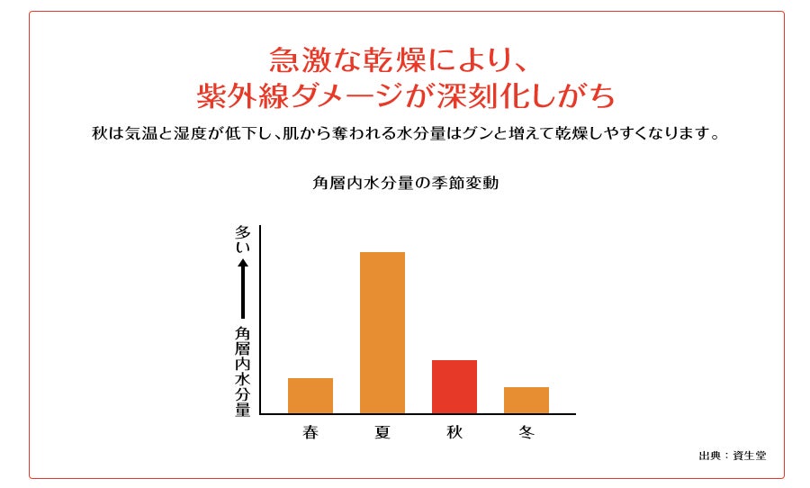 急激な乾燥により、紫外線ダメージが深刻化しがち