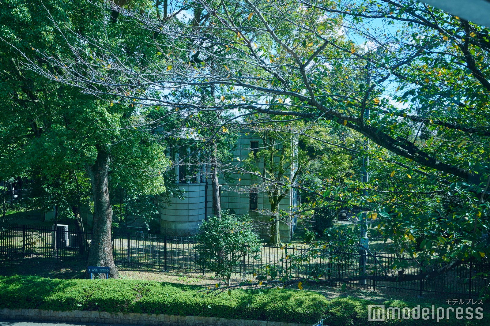 渋沢翁の終の棲家があったのどかな飛鳥山公園（C）モデルプレス
