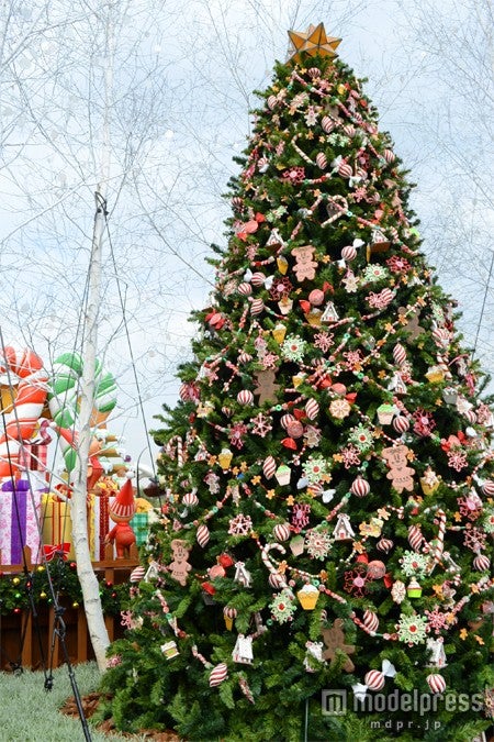 東京ディズニーランド