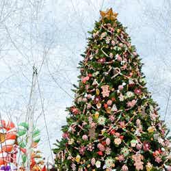 東京ディズニーランド