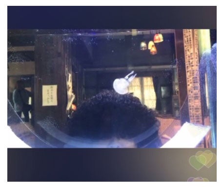 目が見えそうでみえないばんばさん／松井玲奈オフィシャルブログ（Ameba）より