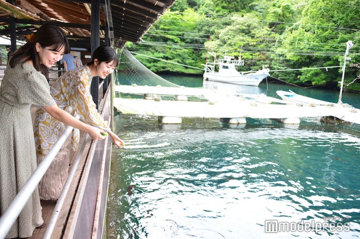 「九十九湾観光船 上野」の遊覧では途中に船主の生け簀に寄り道して撒き餌体験ができる(C)モデルプレス