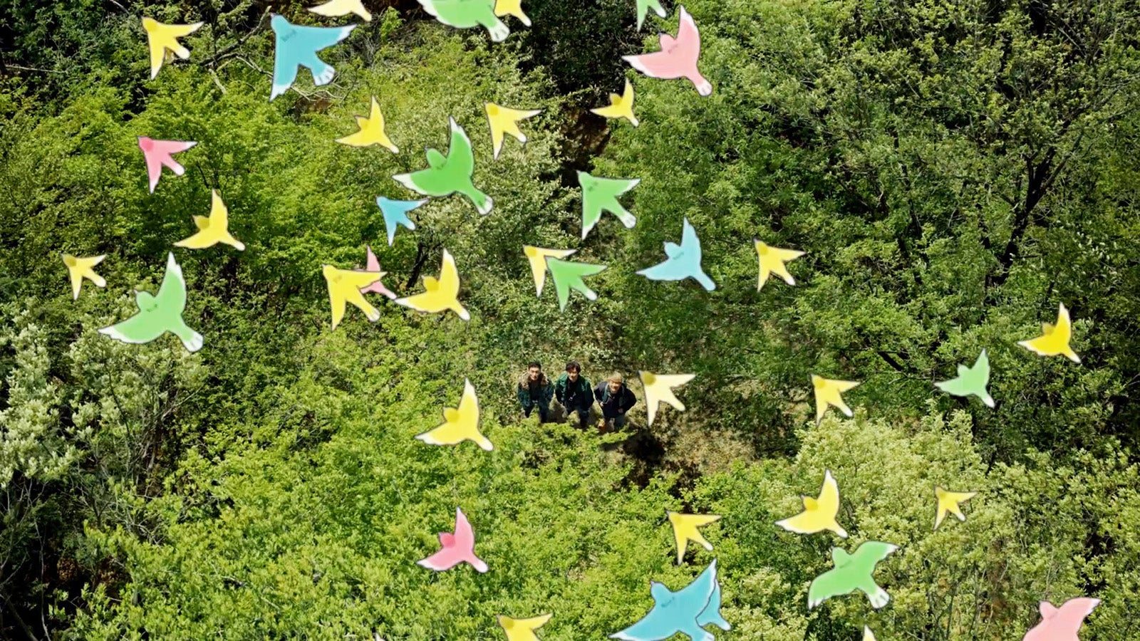 新CM「素晴らしい過去になろう 愛鳥活動 2024」篇より（提供写真）