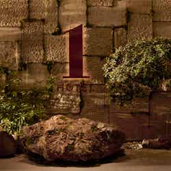 米国発ホテル「1 Hotel Tokyo」東京・赤坂に誕生 サステナブル×ラグジュアリーが融合した“都心の聖域”