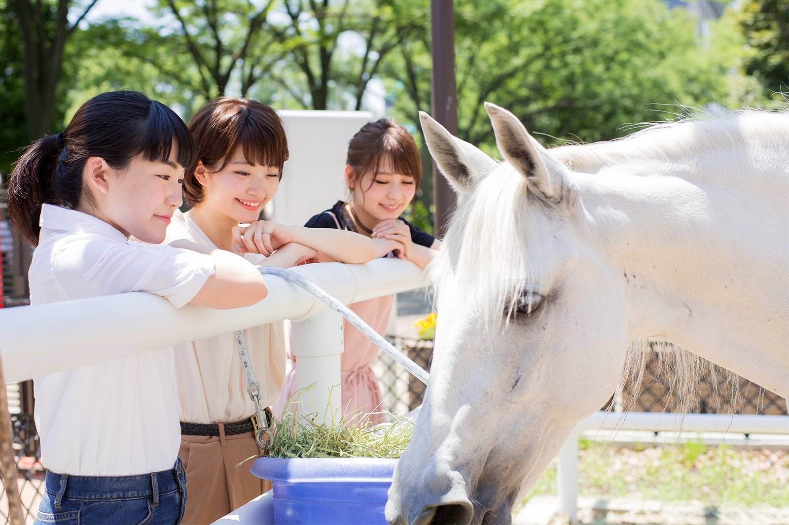 女性の間でも競馬が当たり前に