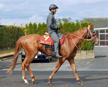 【桜花賞】スターアニス堂々主役へ 2歳女王の貫録示す 高野師は好仕上がりを強調「全体的にパワーアップ」