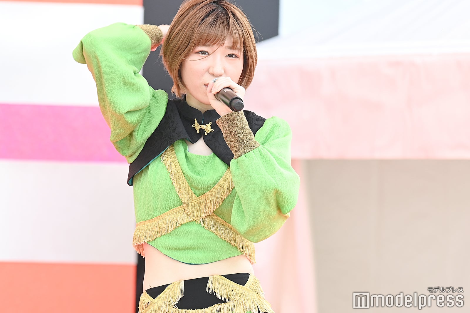 豆柴の大群（C）モデルプレス