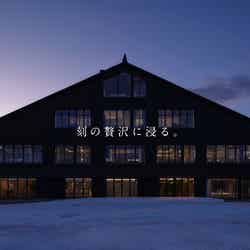 ロマ(提供写真)