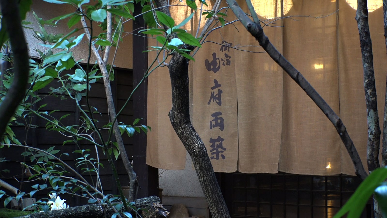 12日放送の「セブンルール」（写真提供：カンテレ）