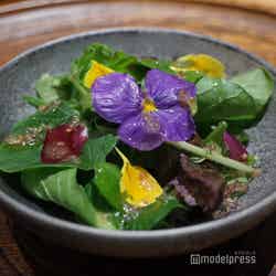 京都舞鶴ARIYOSHI(C)モデルプレス