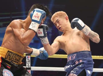 36歳井岡一翔、4回KOで再起星 王者・井上拓真に挑戦状「来年5月に試合したい」 バンタム級初戦快勝、史上最多5階級制覇に前進