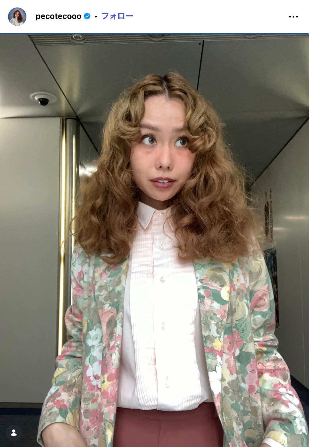 peco Instagramより