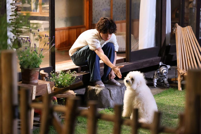 成田凌「初恋DOGs」(C)TBS