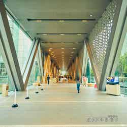 開放的なエントランス(C)モデルプレス