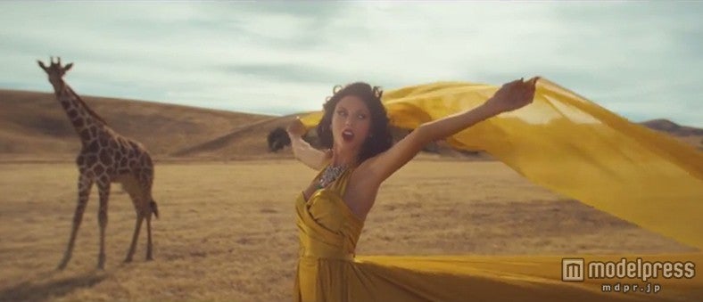 テイラー・スウィフト「ワイルデスト・ドリームス」MVより