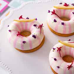 アイスクリーム・リパブリック/提供画像