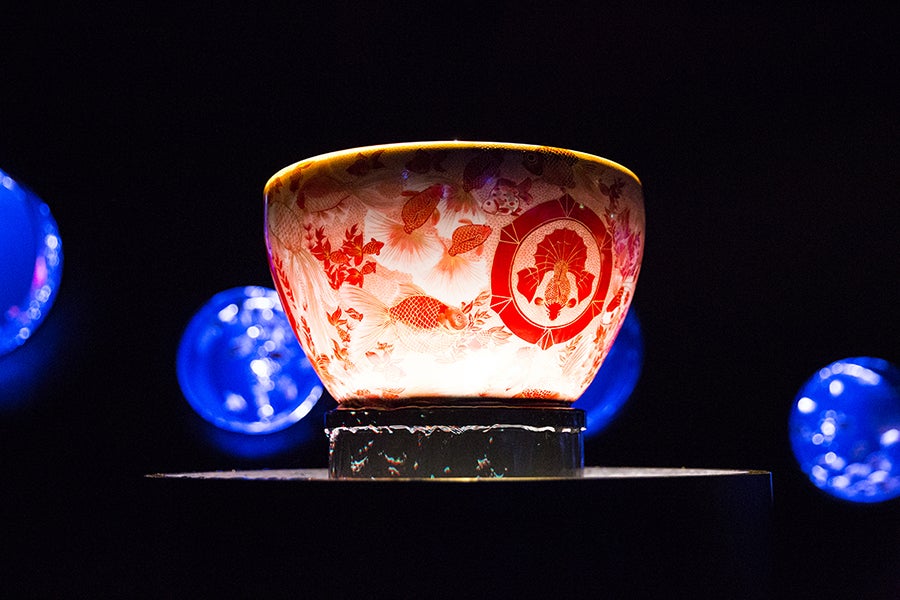 日本橋ナイトアクアリウム15