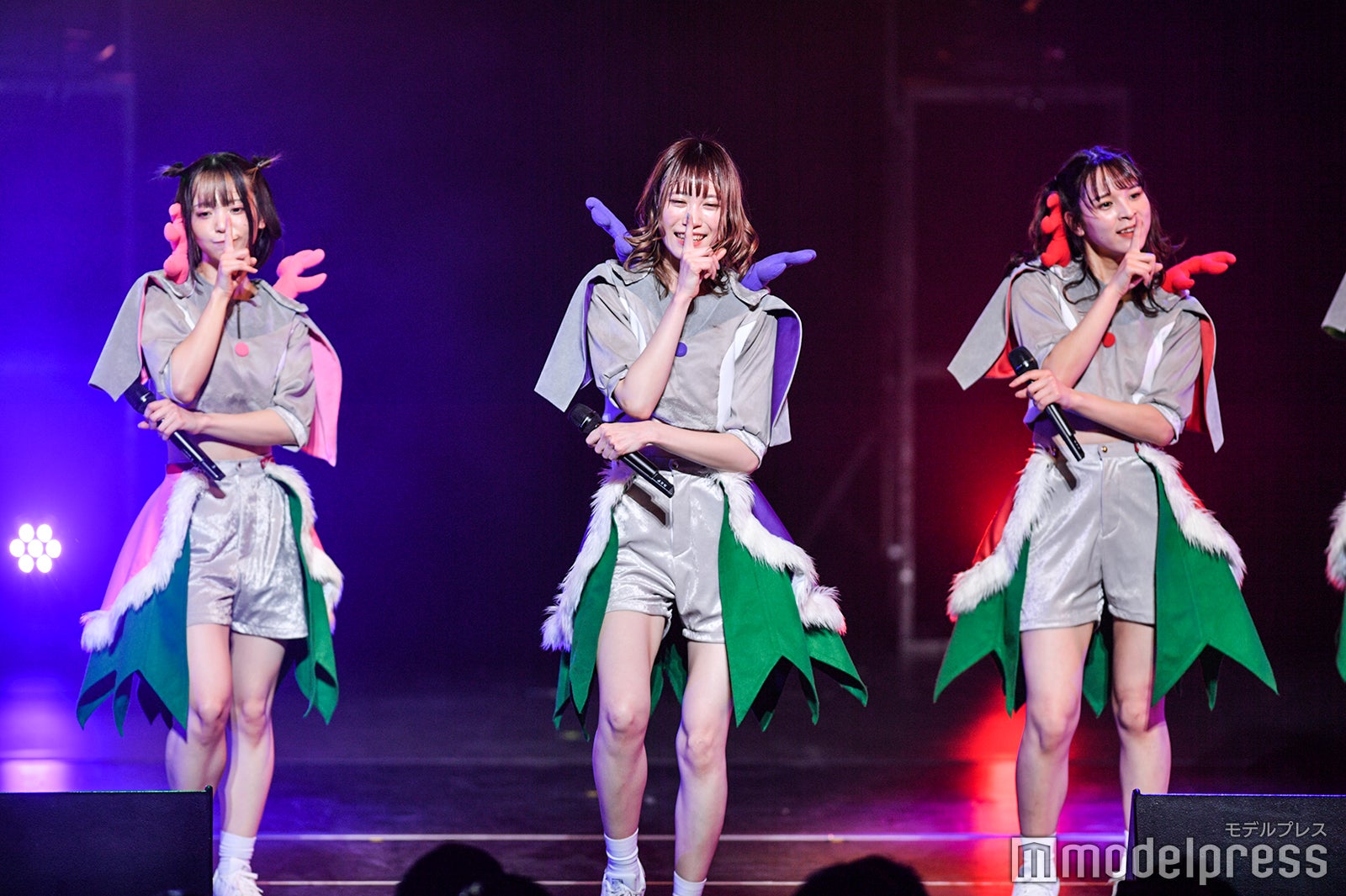 豆柴の大群（C）モデルプレス