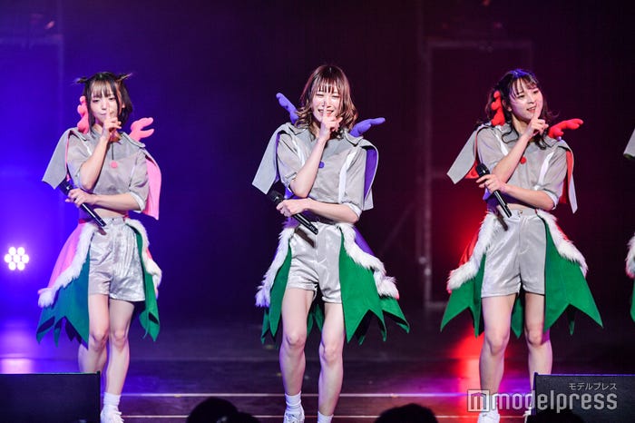 豆柴の大群(C)モデルプレス