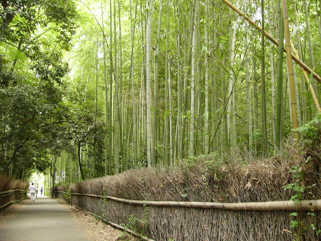 次の休日が待ち遠しい／画像提供：東海旅客鉄道株式会社