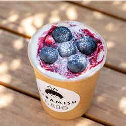 ブルーベリーティラミス 680円/画像提供:SHIP