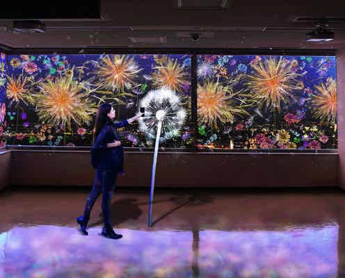 佐賀×ネイキッドの夜歩きイベント開催、県庁と佐賀城公園に光のアート展示