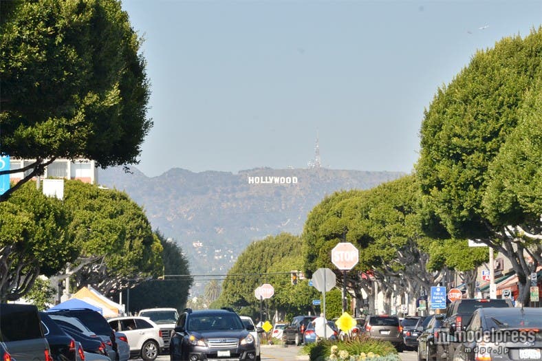 お店の前からは「ハリウッドサイン」も見渡せる/米・ロサンゼルス発のブランド「GROWZE」フラッグシップショップ前にて