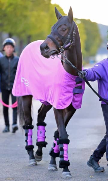 【新馬戦】アンバーウェイヴス 前倒しで初陣 母はG1.2勝のヴィブロス 友道師「母には似てない。きょうだい全頭違う」