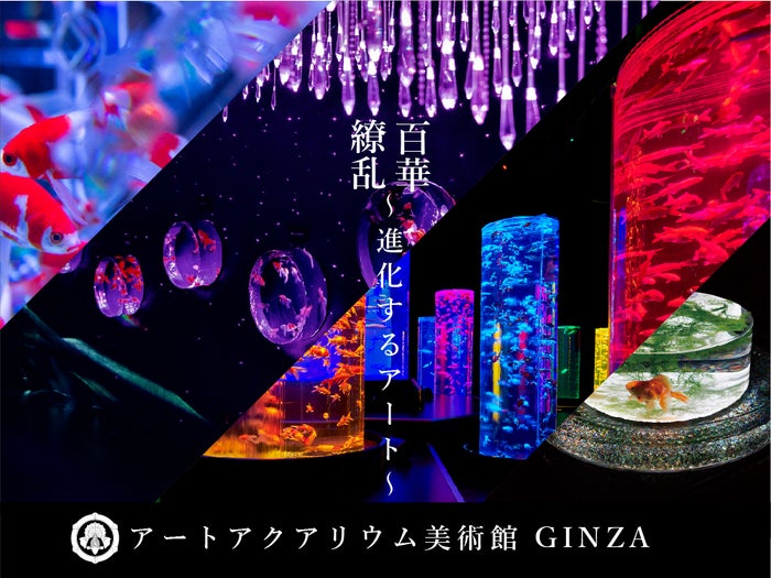 アートアクアリウム美術館 GINZA／画像提供：アートアクアリウム製作委員会