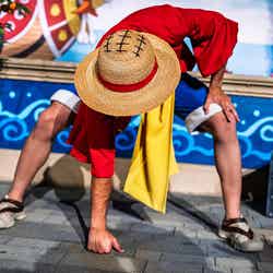 UNIVERSAL FAN FEST NIGHTS/提供画像