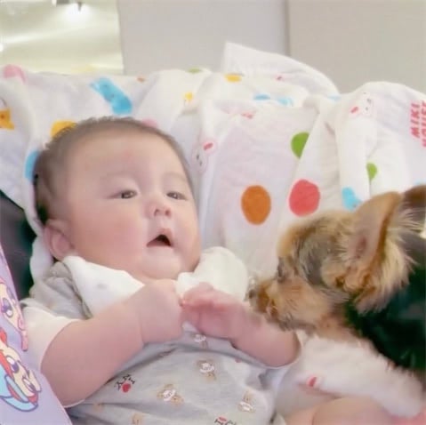 41歳で出産のmisono、姉・倖田來未の愛犬とお喋りする長男の姿に「可愛すぎるぅ〜」