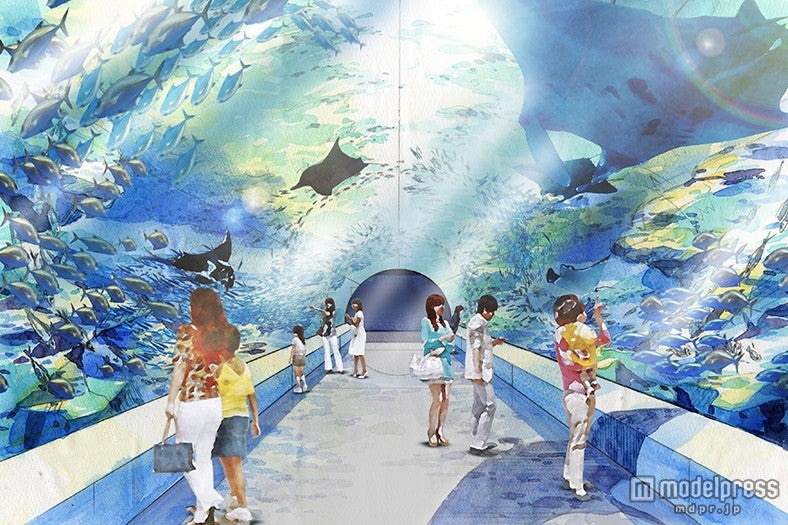 ワンダーチューブ