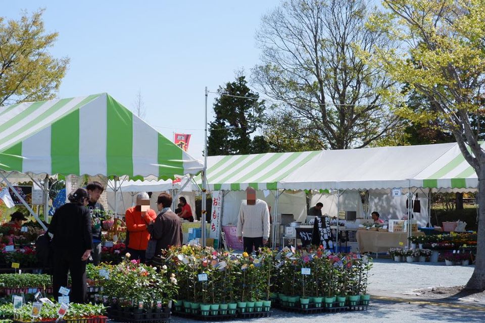 WELCOME TOKYO EVENTそばと日本酒と花の博覧会 大江戸和宴2020／画像提供：大江戸和宴実行委員会