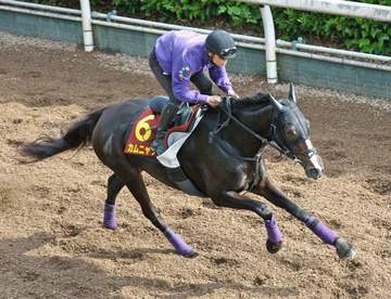 【ヴィクトリアM】カムニャック合格点 逆転戴冠へ精神面成長 友道師「いかに落ち着いてレースを迎えられるか」