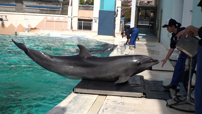 番組の様子(写真提供:関西テレビ)