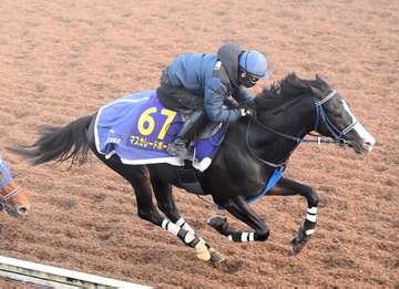 昨年の天皇賞・秋覇者マスカレードボールが香港のクイーンエリザベス2世Cにルメールで出走