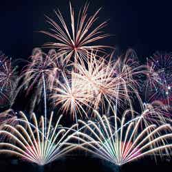 万博花火プロジェクト 万博夜空がアートになる日2022/提供画像