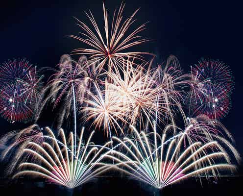 大阪・万博記念公園で芸術花火「万博夜空がアートになる日2022」初開催