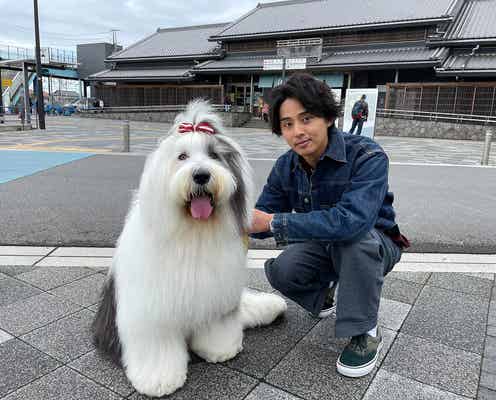 キスマイ藤ヶ谷太輔、“勝負服”で超能力犬とネタ捜索 ジャニーズ先輩グループのレコード発見