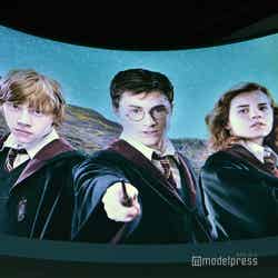 ワーナー ブラザース スタジオツアーロンドン -メイキング・オブ・ハリー・ポッター（C）モデルプレス Warner Bros. Studio Tour London – The Making of Harry Potter