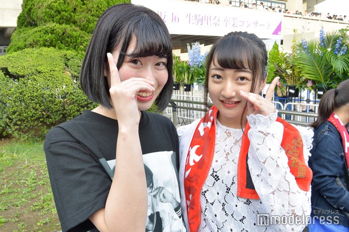 乃木坂46ファン(C)モデルプレス
