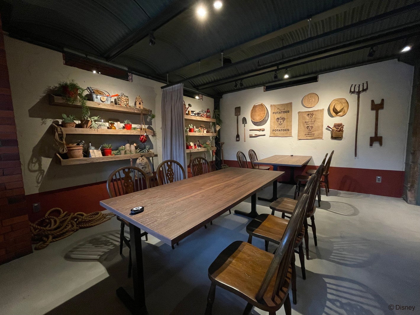 Disney HARVEST MARKET By CAFE COMPANY 横浜赤レンガ倉庫店（C）Disney