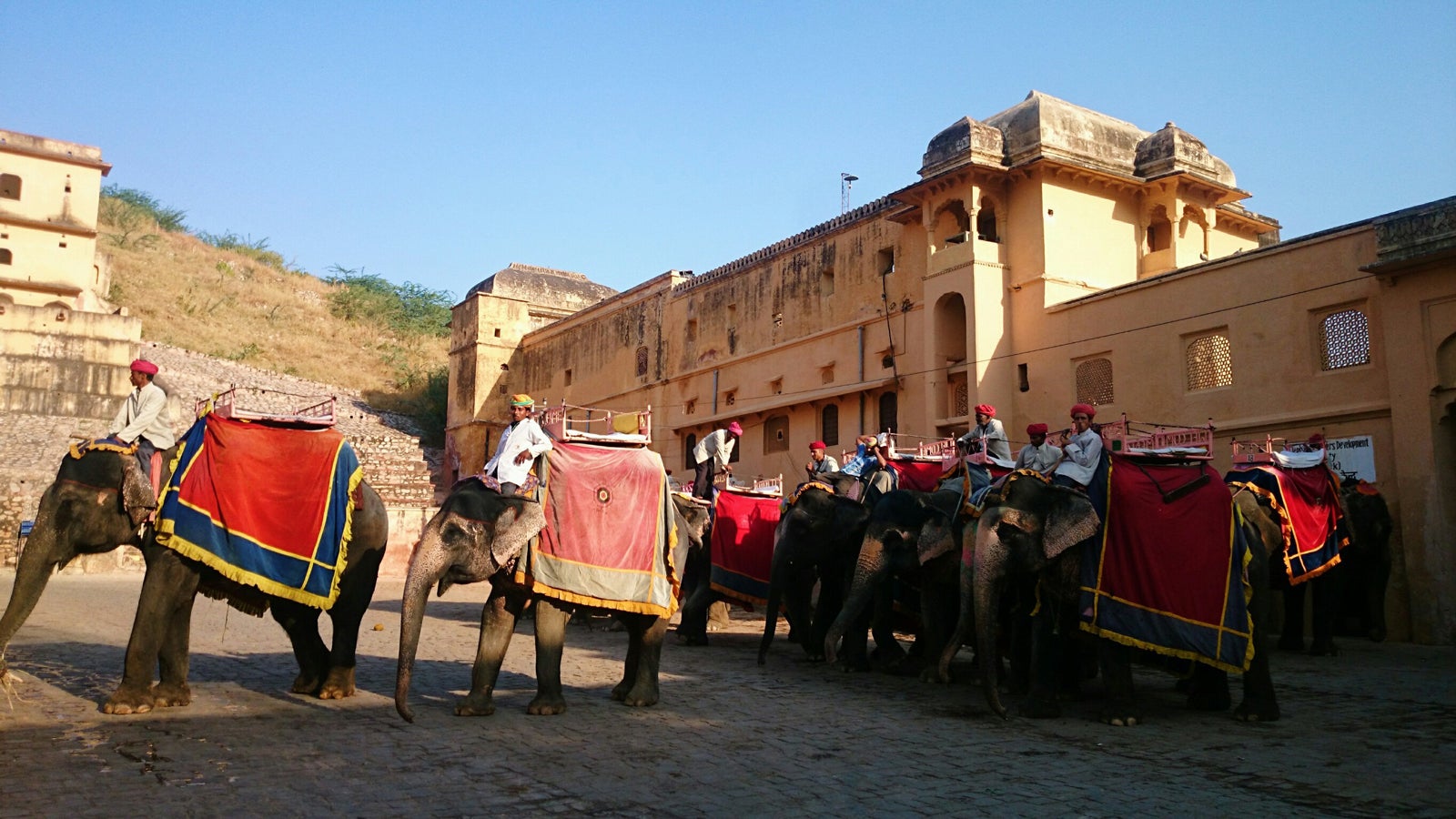 アンベール城の象タクシー／画像提供：所属事務所