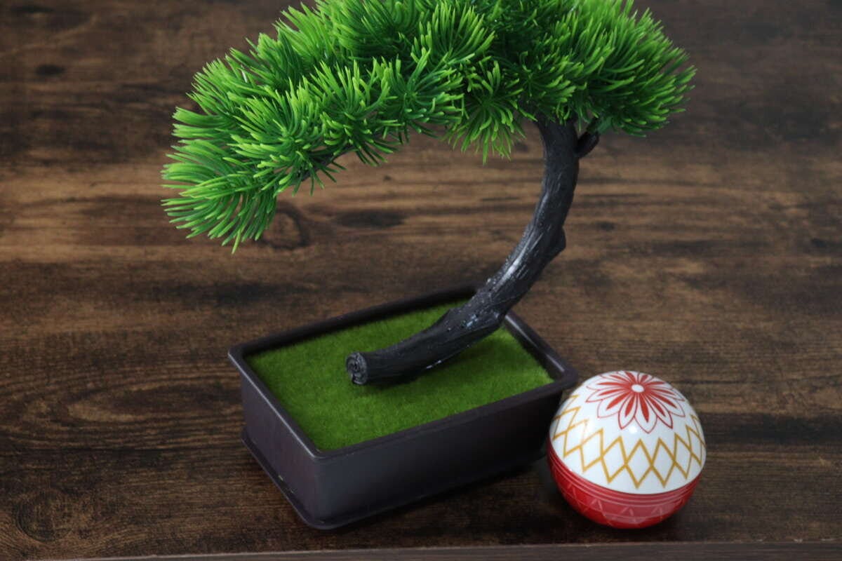 ダイソーの盆栽と和食器を飾る