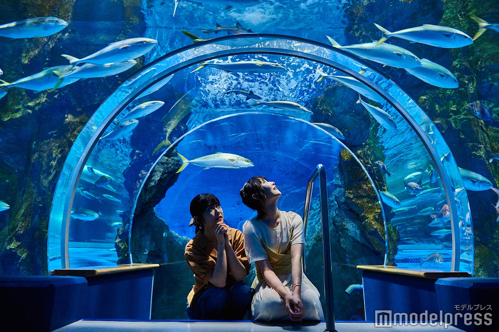 能登観光ポータルサイト「のとねっと」